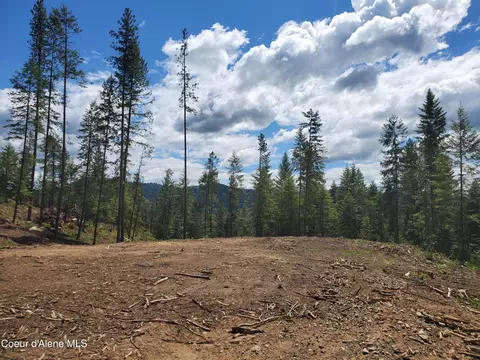 Nna Lot 2 Bloom Farm Rd, Sagle, ID 83860