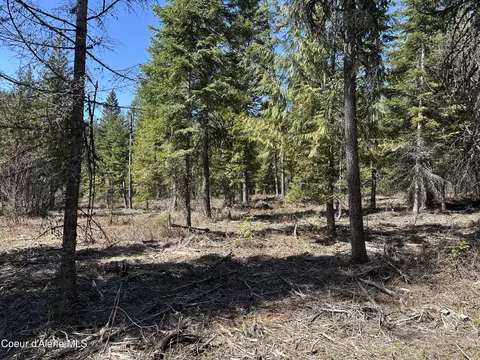 Nna Butler Creek Rd., Cocolalla, ID 83813