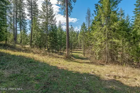 3167 S Dunlap Rd, Harrison, ID 83833 photo 15