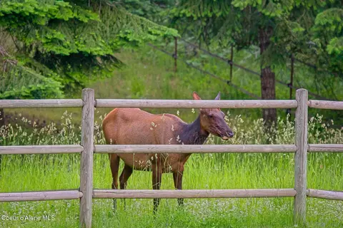 Other - 13939 E Perimeter Rd, Athol, ID 83801 photo 30 of 30