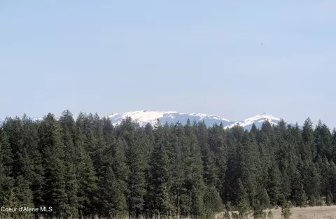 1231 Bill Morris Rd, Plummer, ID 83851
