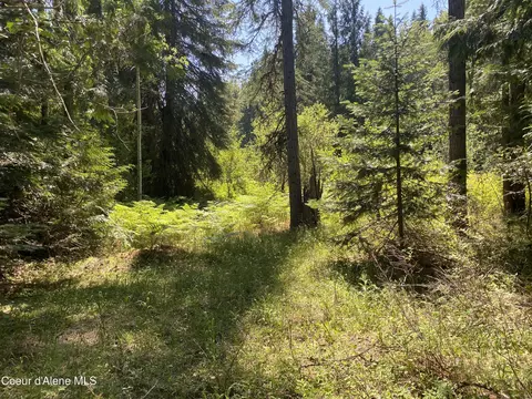 Nna Adams, Spirit Lake, ID 83869