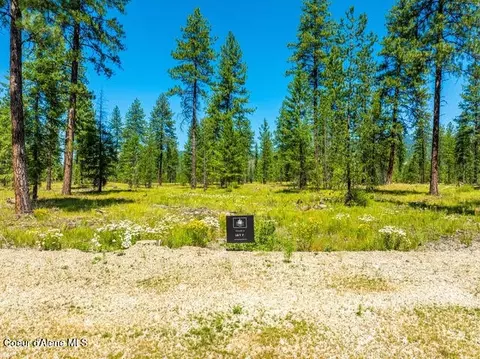 L7 B1 Wallace Lane, Blanchard, ID 83804