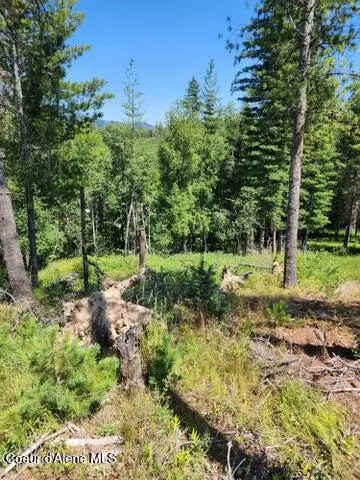 112 Blazing Saddle Ct, Pinehurst, ID 83850 photo 8