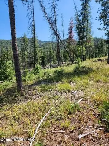 112 Blazing Saddle Ct, Pinehurst, ID 83850 photo 9