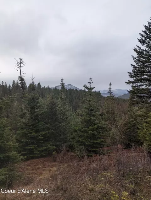9 Kingston Way, Kingston, ID 83839 photo 2