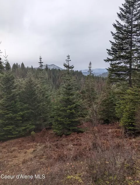 9 Kingston Way, Kingston, ID 83839 photo 3