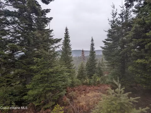 9 Kingston Way, Kingston, ID 83839 photo 5