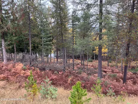 102 Blazing Saddle, Pinehurst, ID 83850
