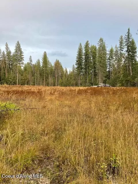 Nna Toad Road, Priest River, ID 83856