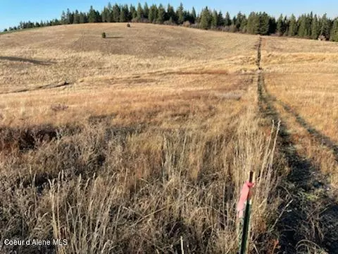 387 Starling Ln, Plummer, ID 83851 photo 7