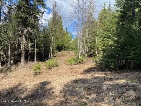 Nna Upper Gold Crk Rd, Sandpoint, ID 83864
