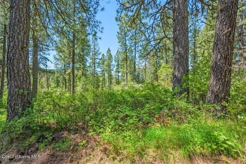 770 Crestview Ln, Plummer, ID 83851 photo 8