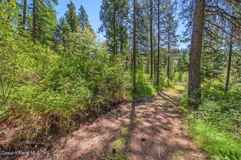770 Crestview Ln, Plummer, ID 83851 photo 5