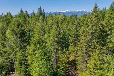 1438 Rolling Thunder Ridge Rd, Sandpoint, ID 83864 photo 35