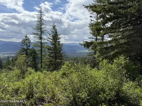397 Upriver Vw, Fernwood, ID 83830