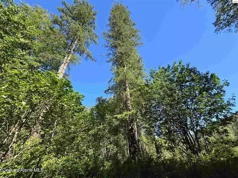 Nna Upper Pack River, Sandpoint, ID 83864 photo 13