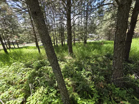 Kna Westview Dr, Harrison, ID 83833 photo 9