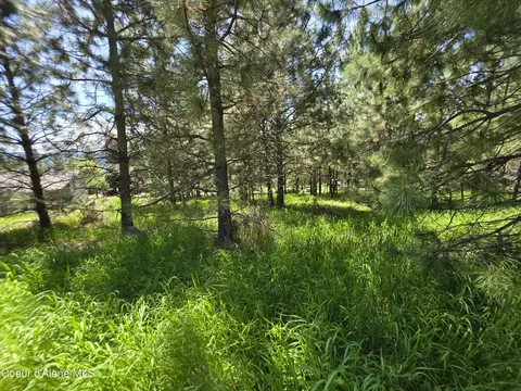 Kna Westview Dr, Harrison, ID 83833 photo 7
