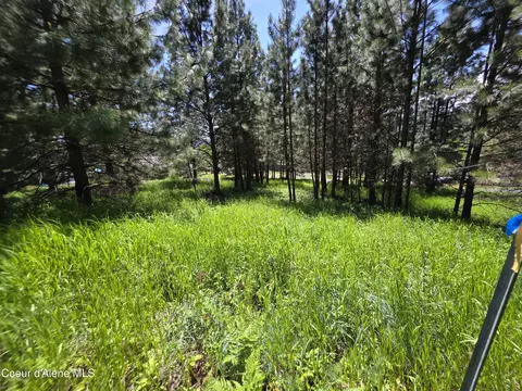 Kna Westview Dr, Harrison, ID 83833