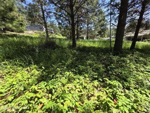 Kna Westview Dr, Harrison, ID 83833 photo 11