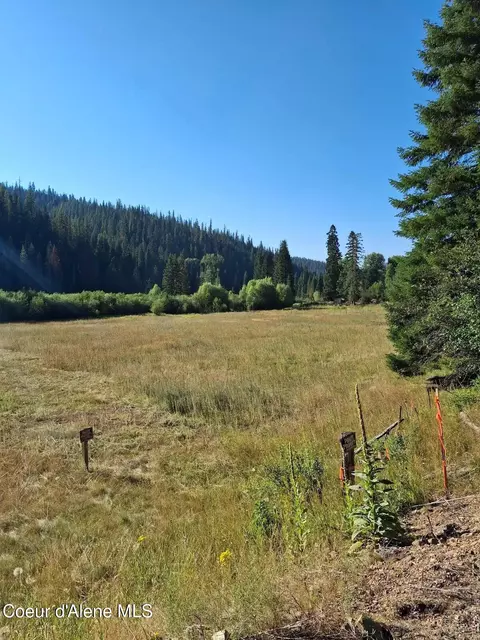 Nka Beaver Creek Road, Wallace, ID 83873