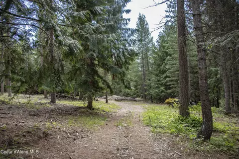 2864 Blacktail Rd, Cocolalla, ID 83813 photo 24