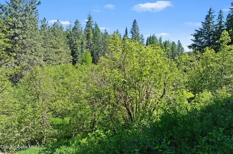 Other - 490 Samuels Rd, Sandpoint, ID 83864 photo 18 of 21