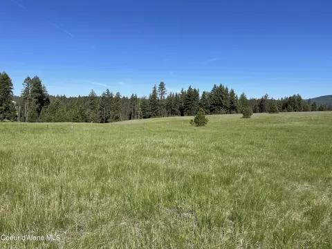 000 Bill Morris Rd, Plummer, ID 83851 photo 5