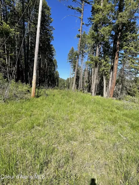 000 Bill Morris Rd, Plummer, ID 83851 photo 23