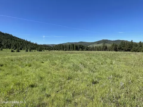 000 Bill Morris Rd, Plummer, ID 83851 photo 6