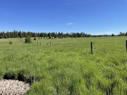 000 Bill Morris Rd, Plummer, ID 83851 photo 26