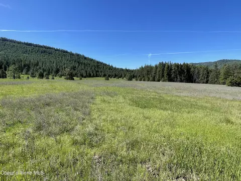 000 Bill Morris Rd, Plummer, ID 83851 photo 17