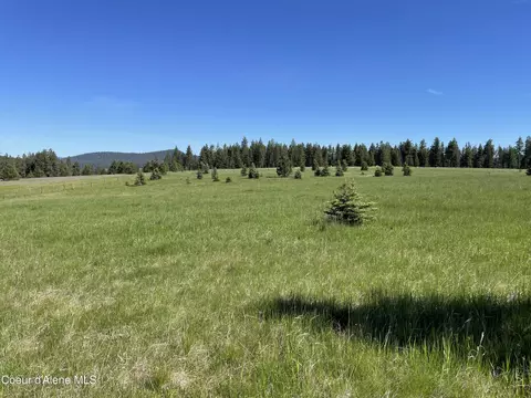 000 Bill Morris Rd, Plummer, ID 83851 photo 4