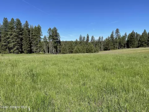 000 Bill Morris Rd, Plummer, ID 83851 photo 3