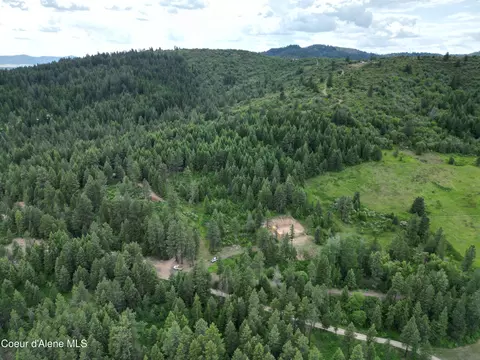0 Rawhide Dr, Plummer, ID 83851 photo 9