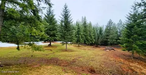 Exterior - 229 Henderson Lp, Kamiah, ID 83536 photo 10 of 29