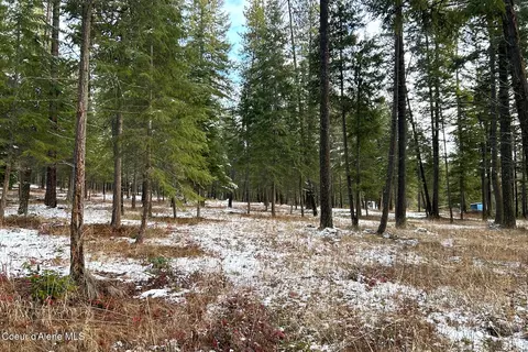 Nka Pleasants View Rd, Blanchard, ID 83804