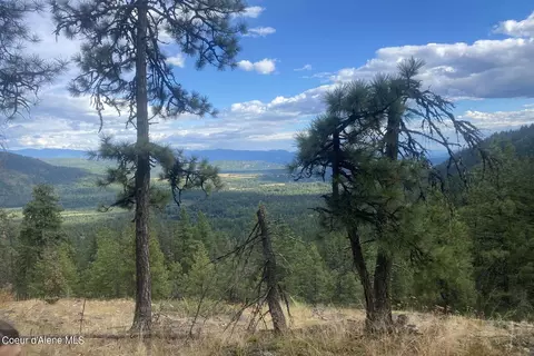 Nna Grizzly Gap Rd, Naples, ID 83847