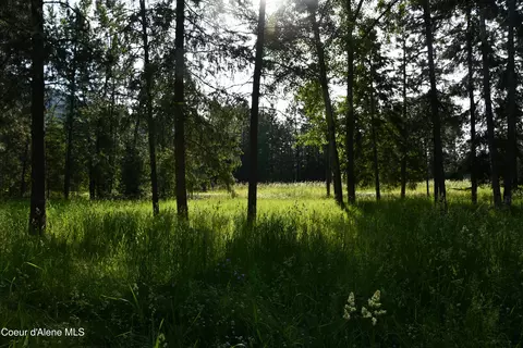 100 Vets Rd, Pinehurst, ID 83850
