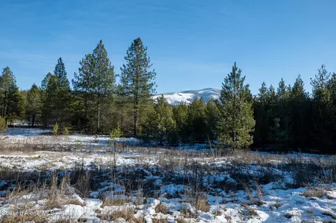 1 Hoo Doo Loop Road, Oldtown, ID 83822