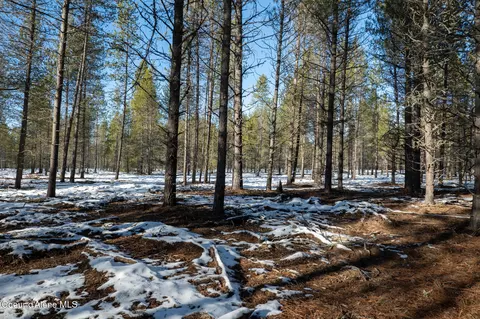 1 Hoo Doo Loop Road, Oldtown, ID 83822 photo 12