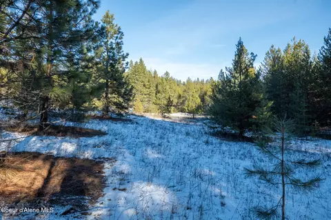1 Hoo Doo Loop Road, Oldtown, ID 83822 photo 17