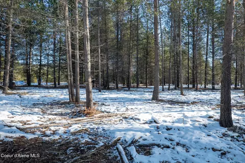 1 Hoo Doo Loop Road, Oldtown, ID 83822 photo 11