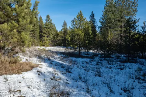 1 Hoo Doo Loop Road, Oldtown, ID 83822 photo 6