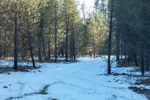 2 Hoo Doo Loop Road, Oldtown, ID 83822 photo 11