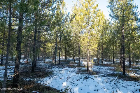 2 Hoo Doo Loop Road, Oldtown, ID 83822 photo 12
