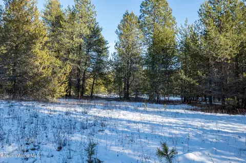 2 Hoo Doo Loop Road, Oldtown, ID 83822 photo 13
