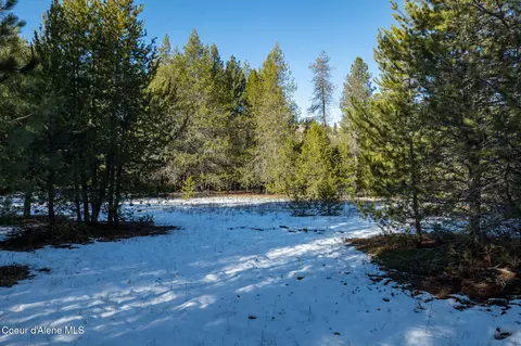 2 Hoo Doo Loop Road, Oldtown, ID 83822 photo 10