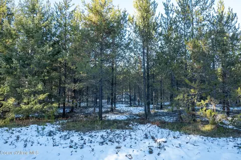 2 Hoo Doo Loop Road, Oldtown, ID 83822 photo 19